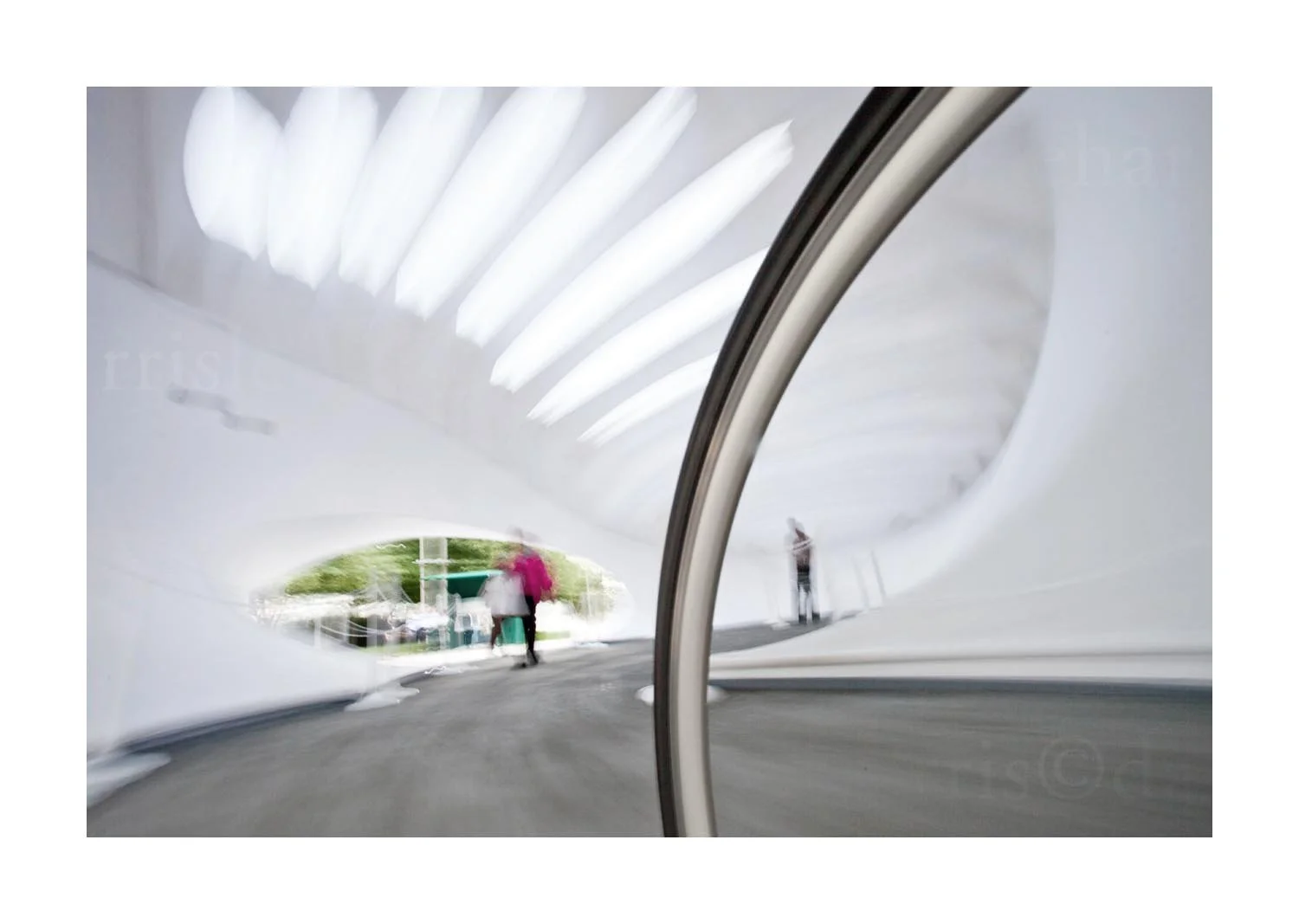 Forward Movement, bicycles #14