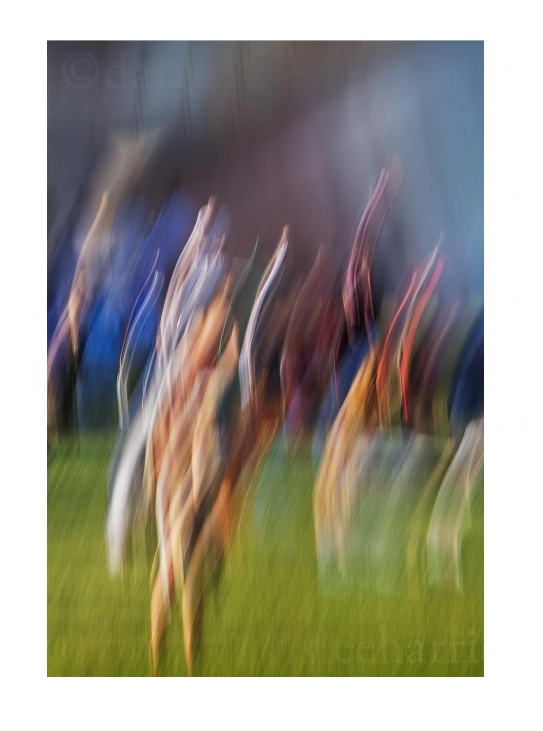 Forward Movement, Millenium Park #05