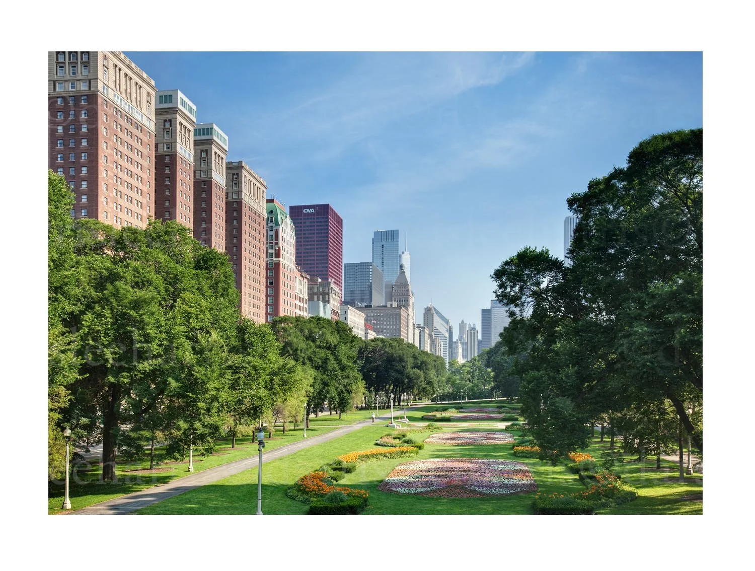 Grant Park Skyline