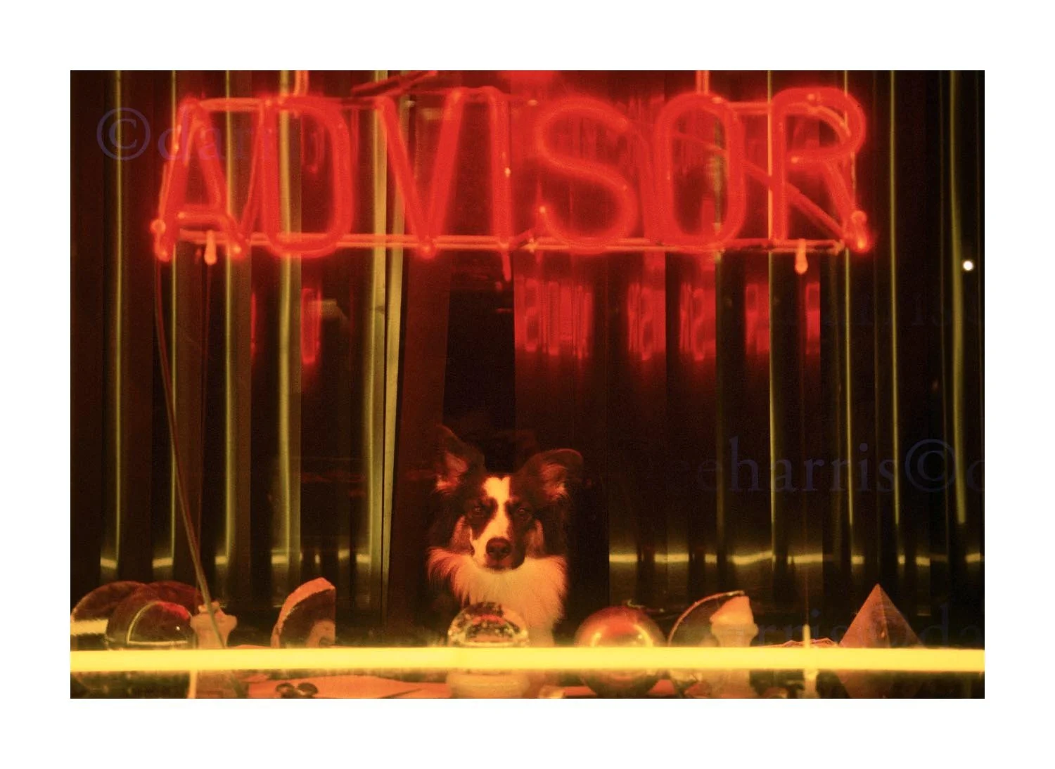 Advisor