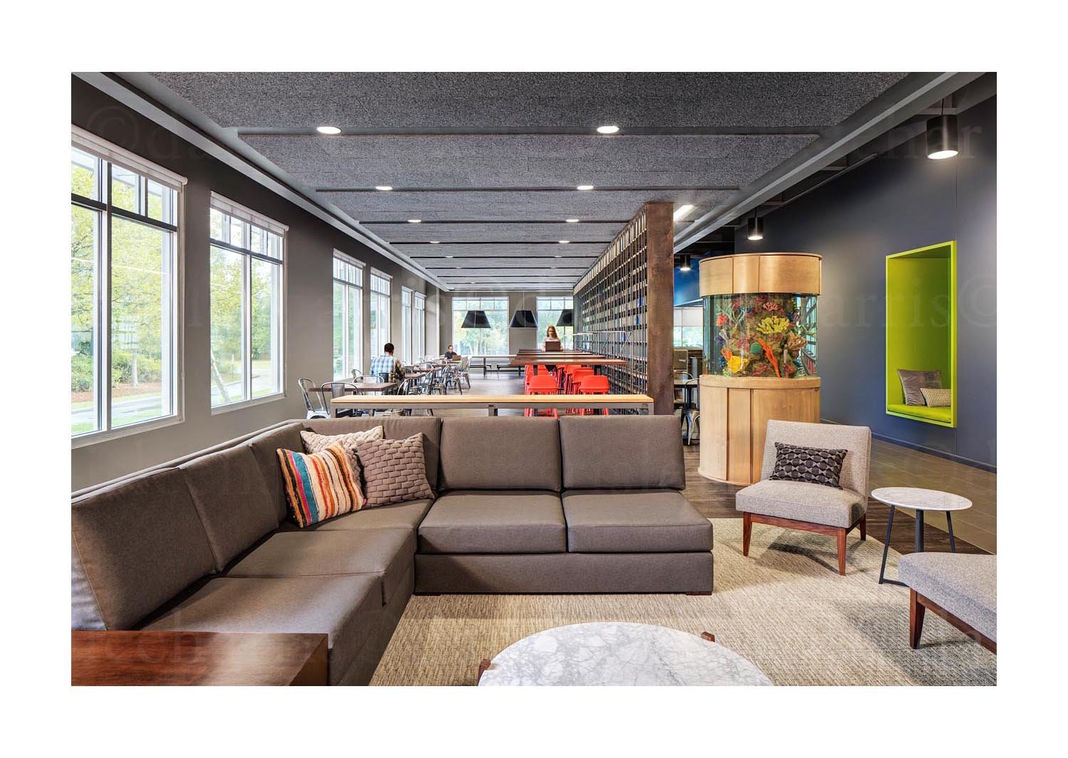 BenefitFocus