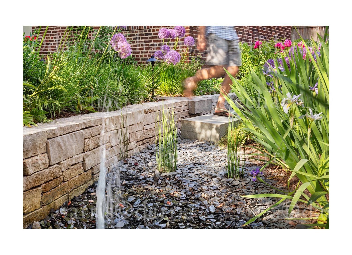 Evanston garden
