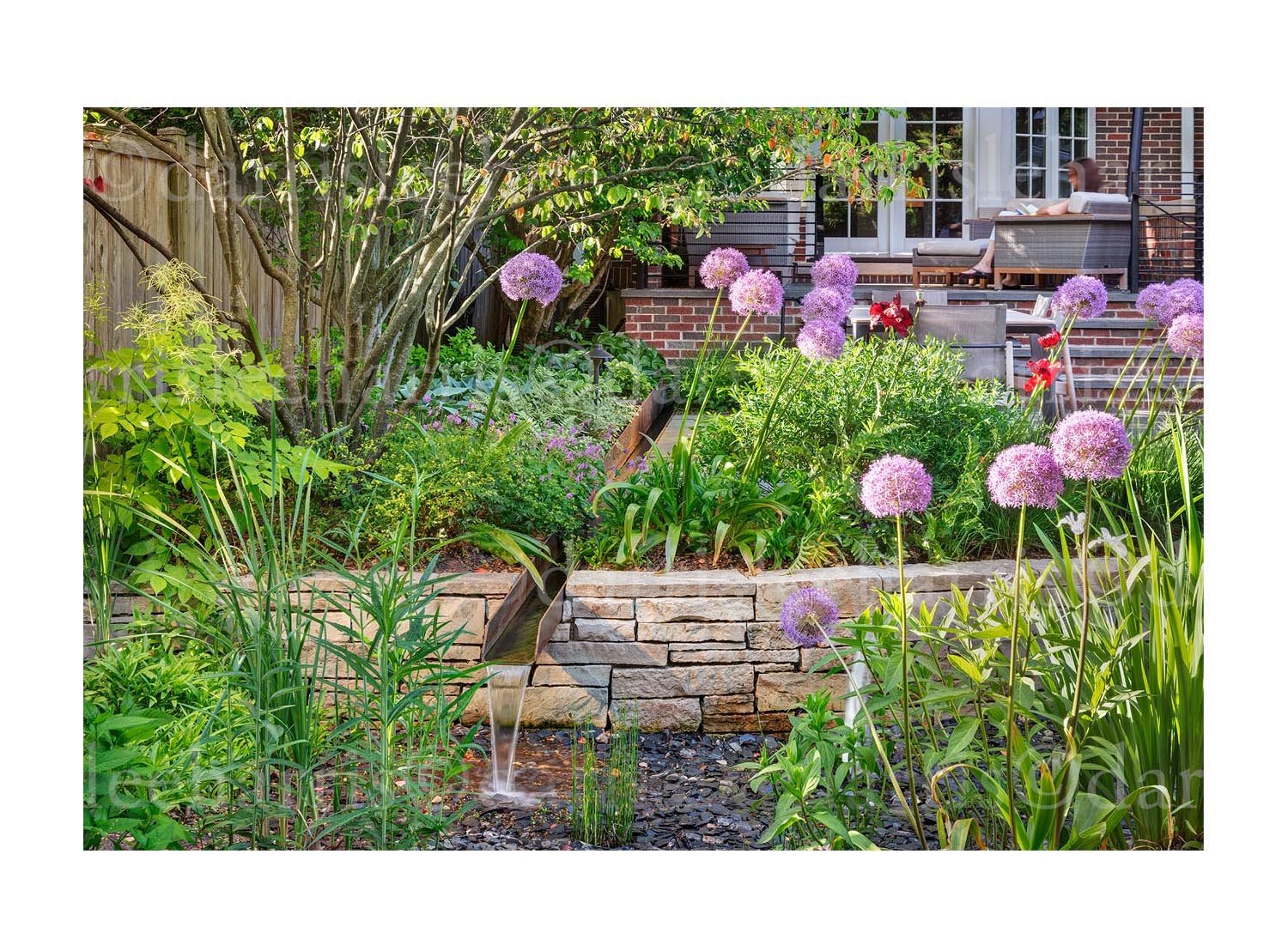 Evanston garden
