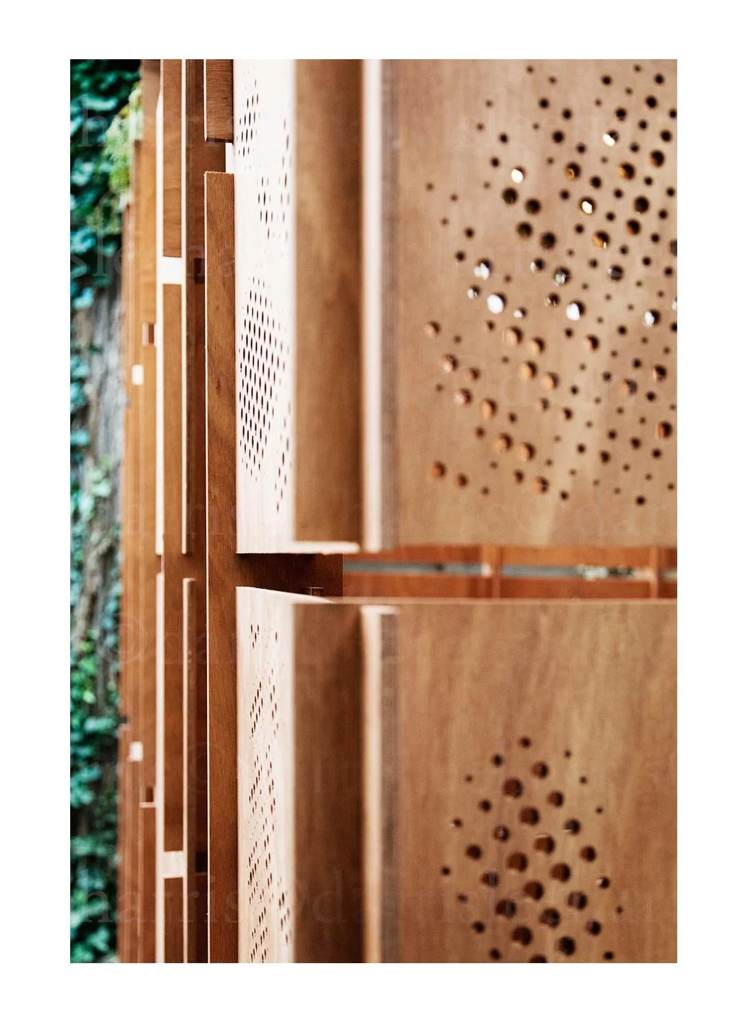 Sukkah