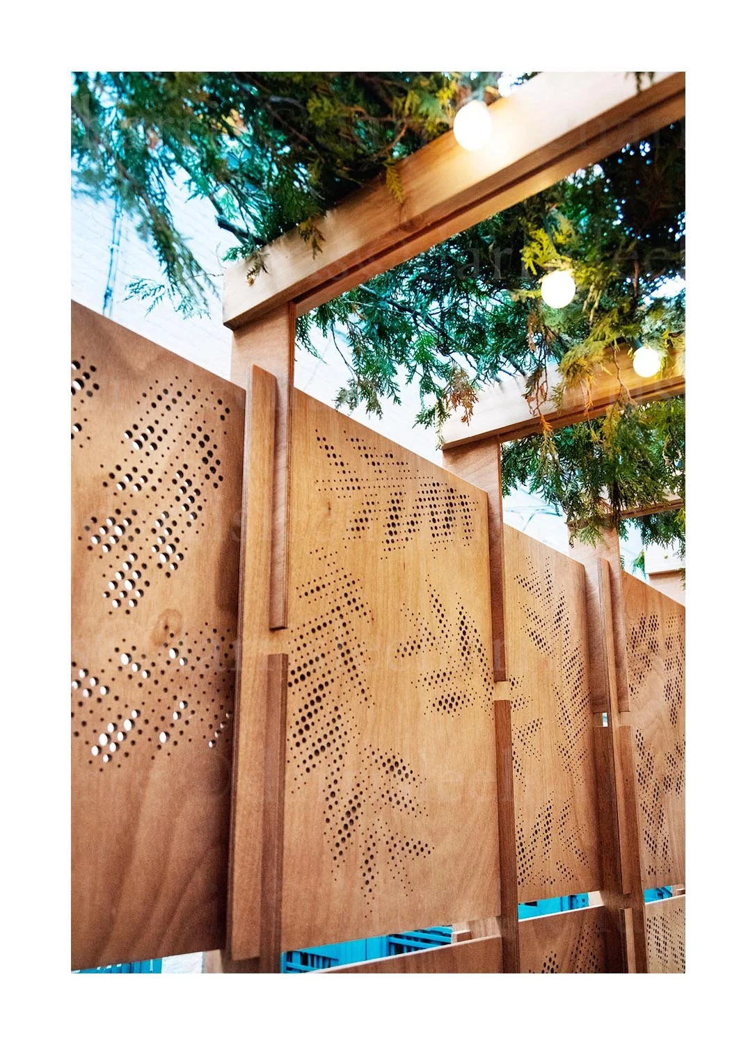 Sukkah