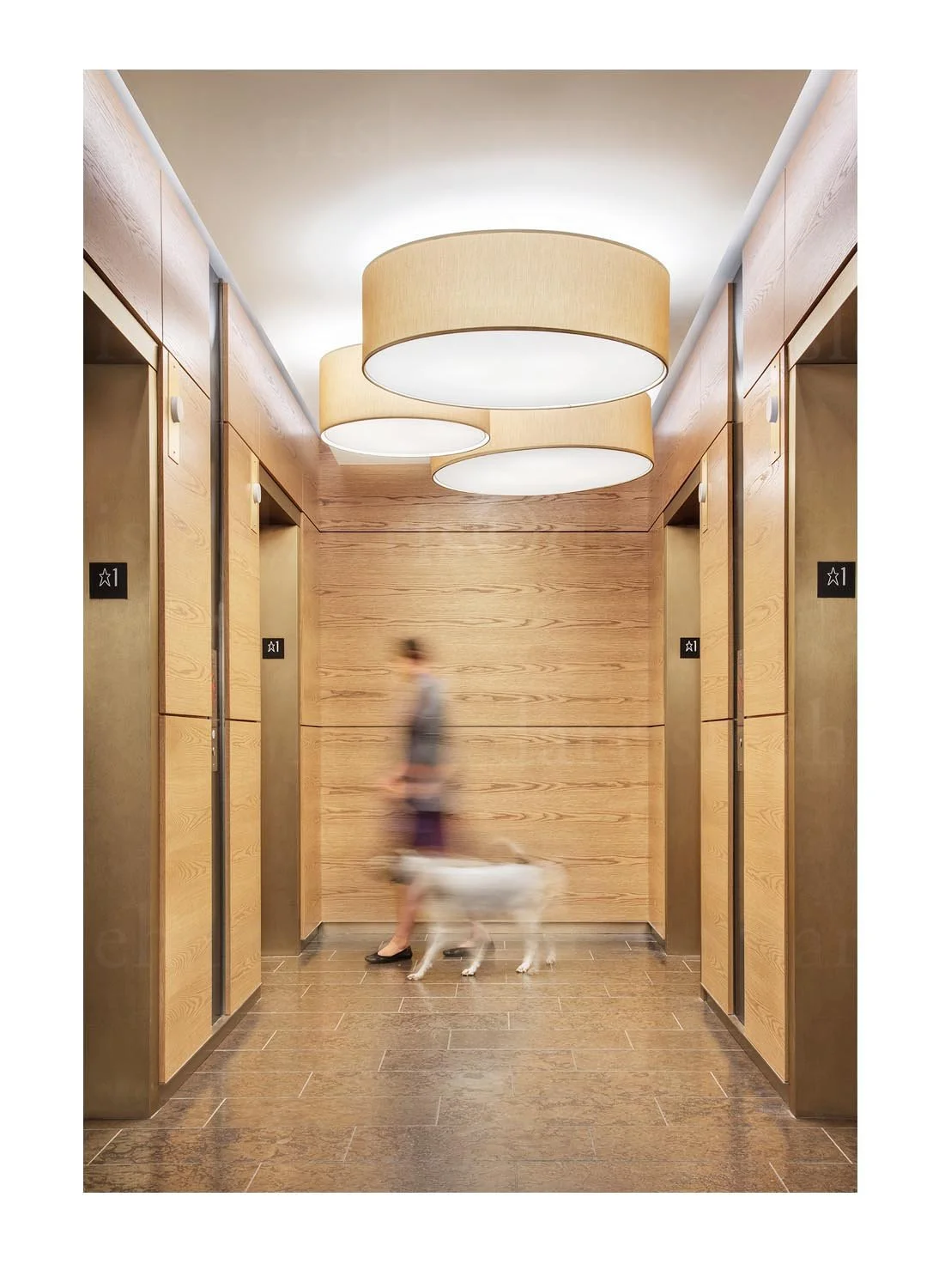 Element Residence