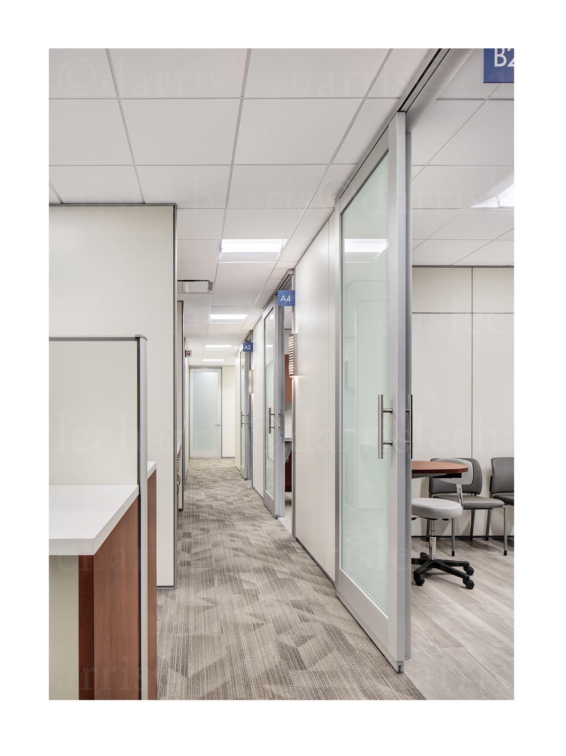 American Hip Institute