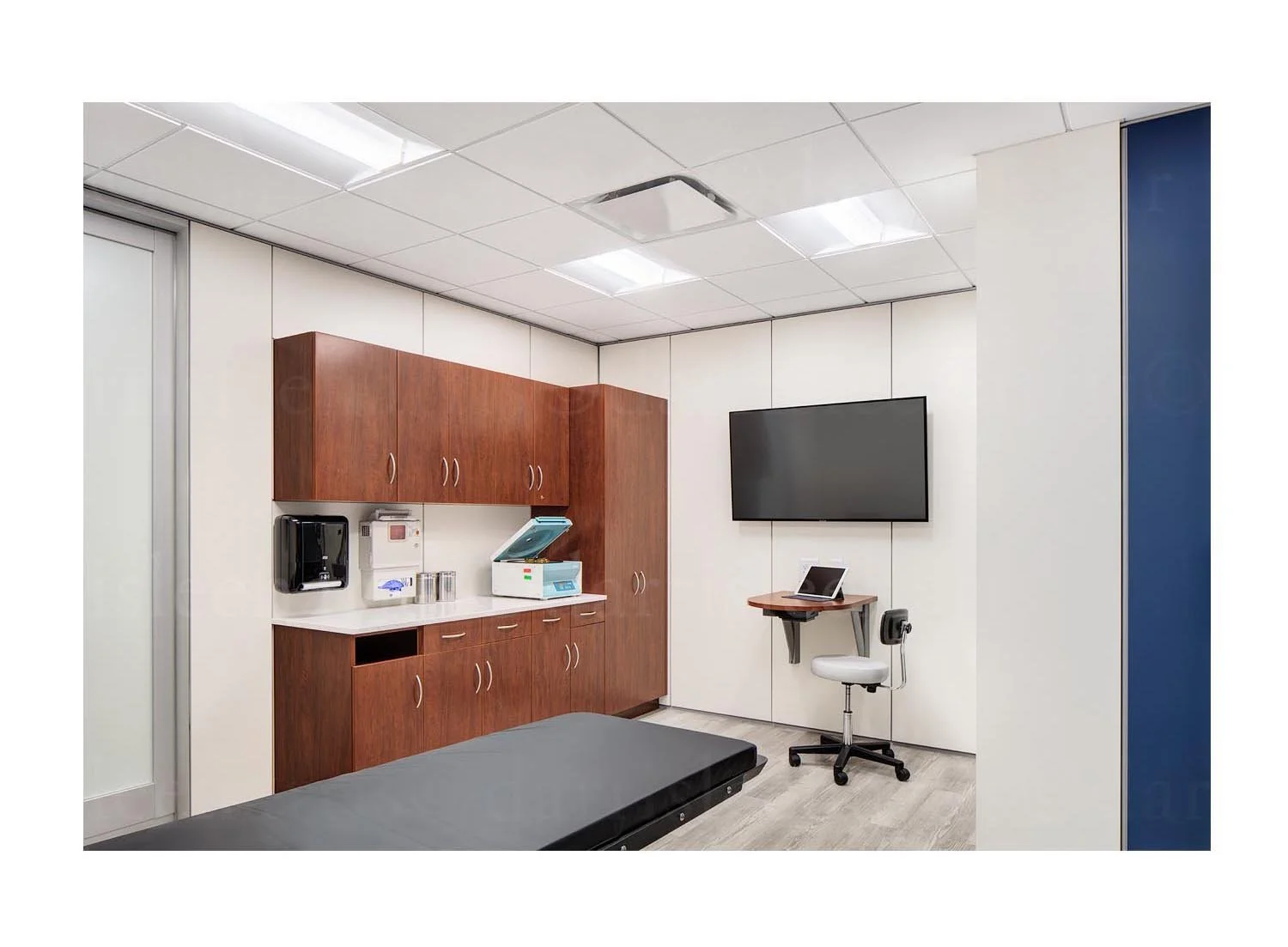 American Hip Institute