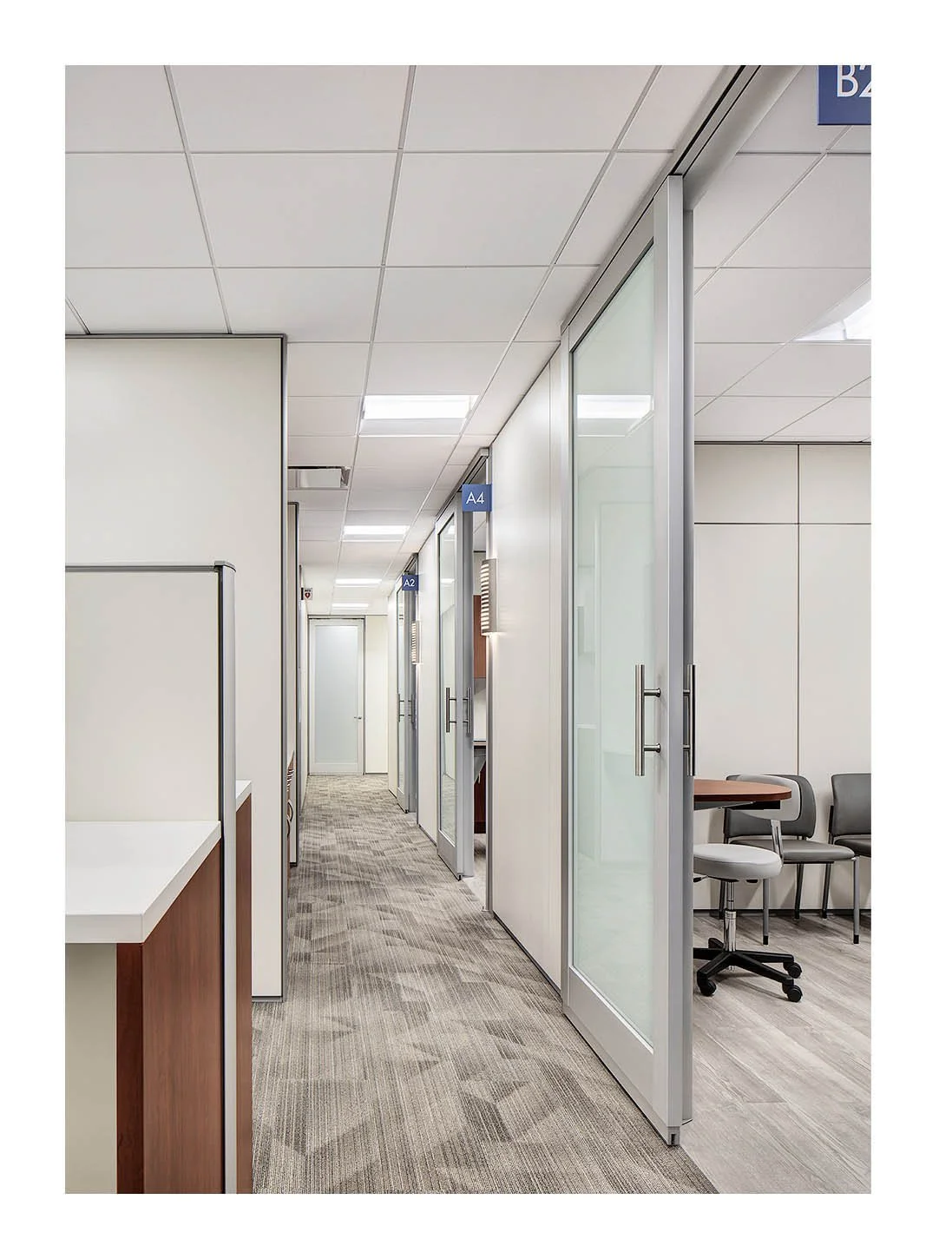 American Hip Institute