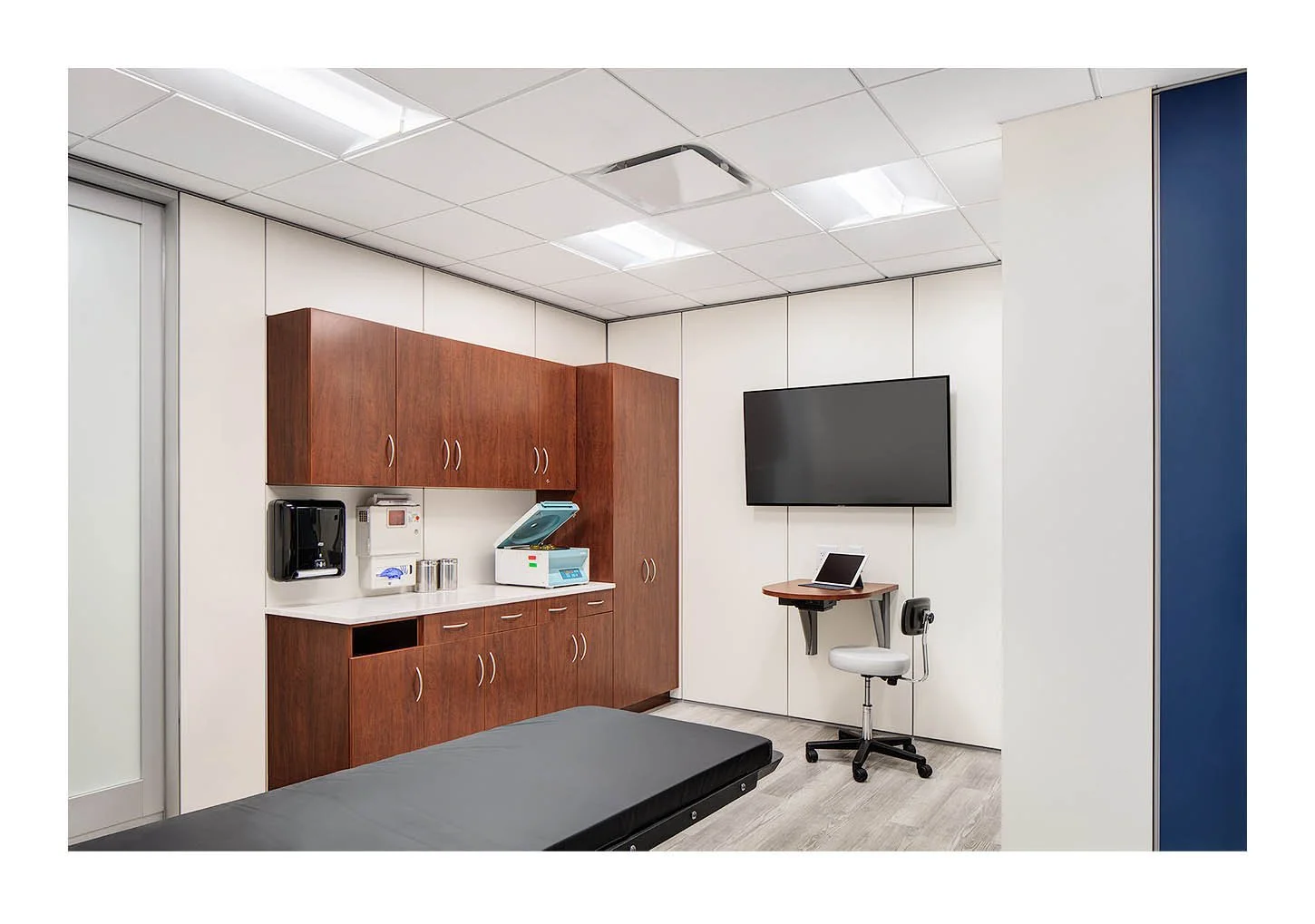 American Hip Institute