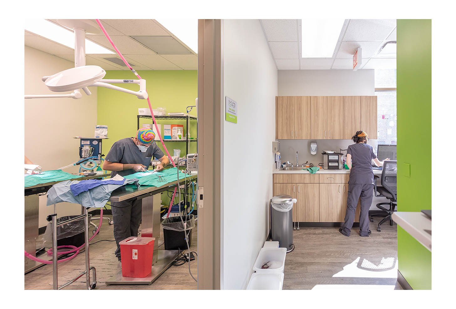 Veterinary Wellness Center