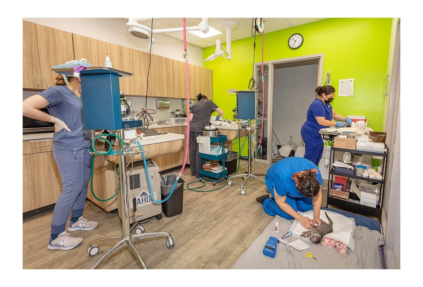 Veterinary Wellness Center
