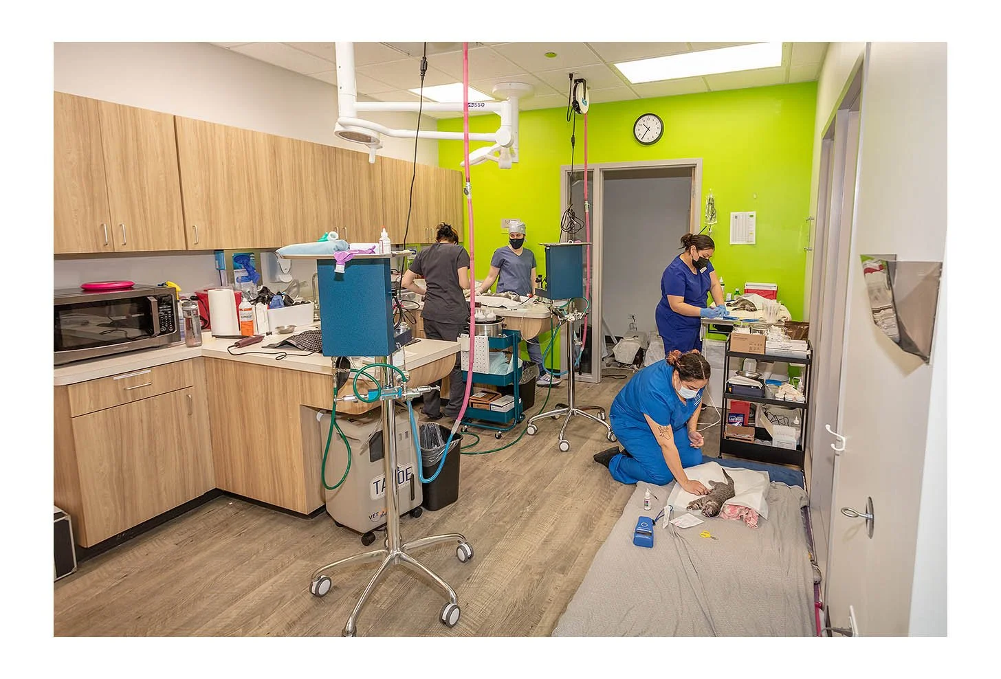Veterinary Wellness Center