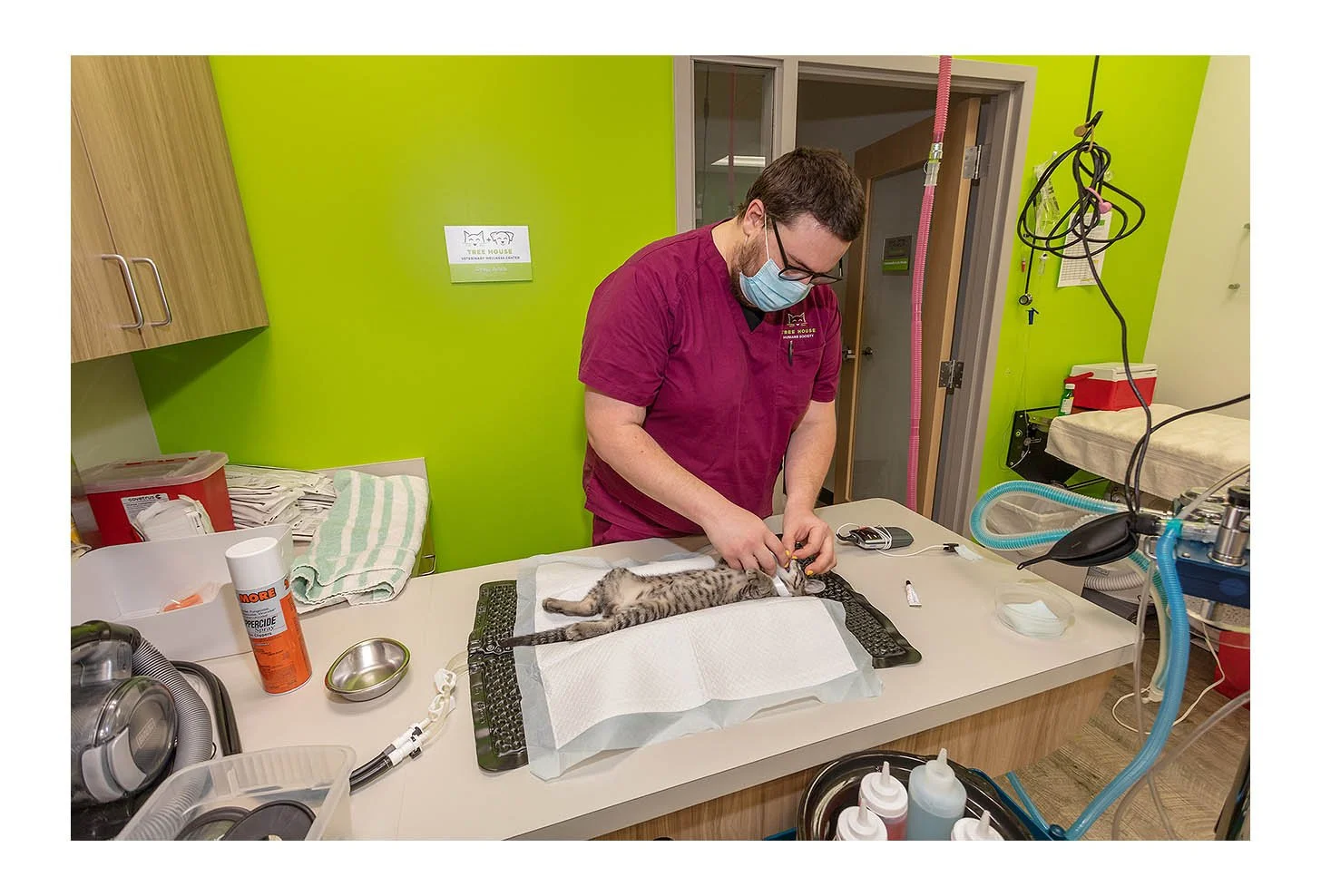 Veterinary Wellness Center