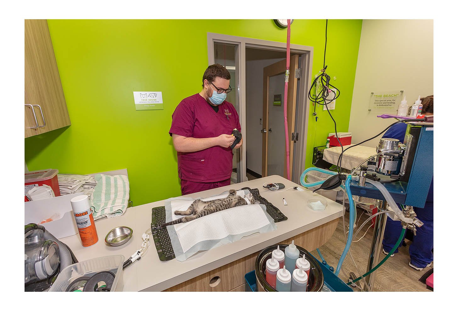 Veterinary Wellness Center