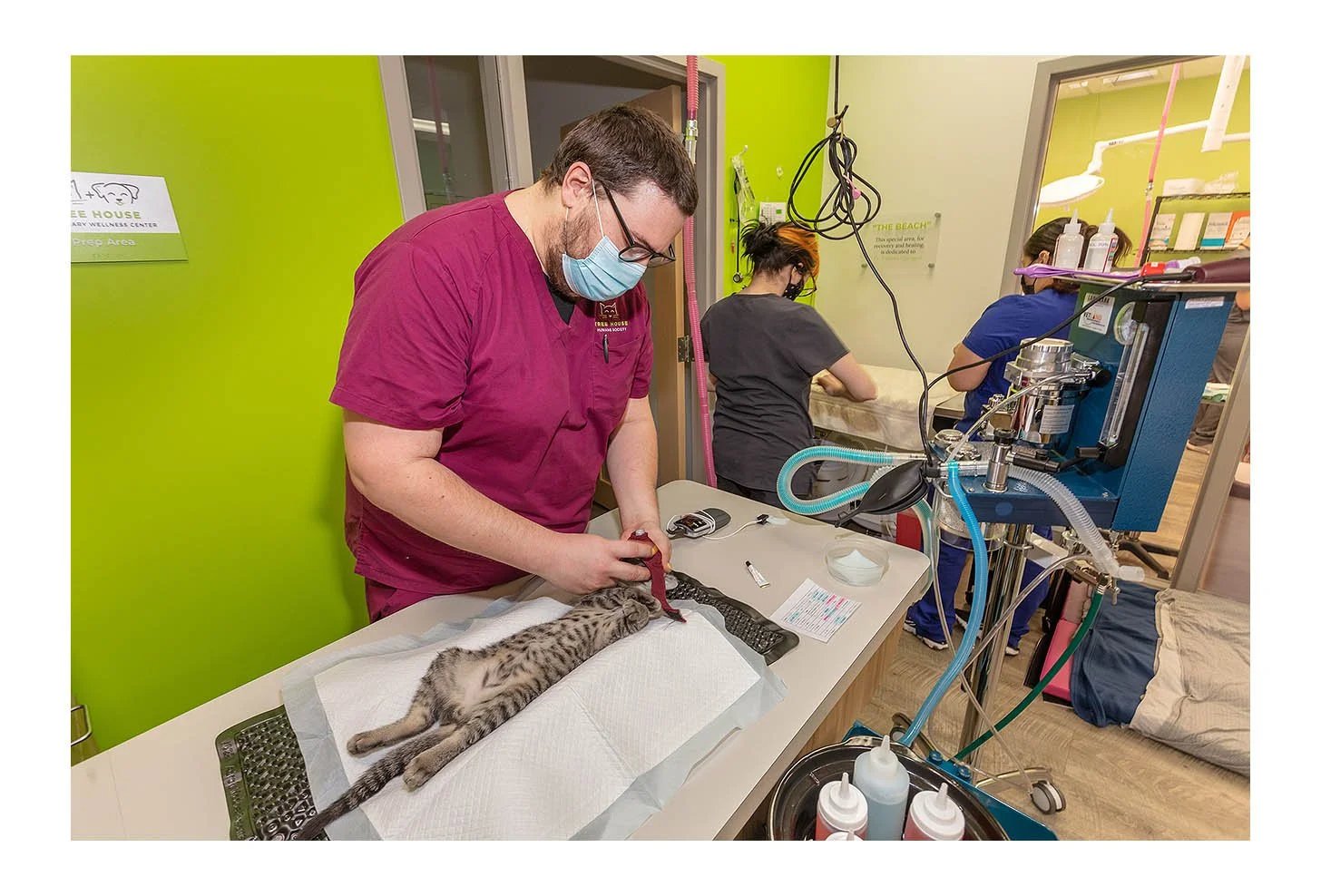 Veterinary Wellness Center