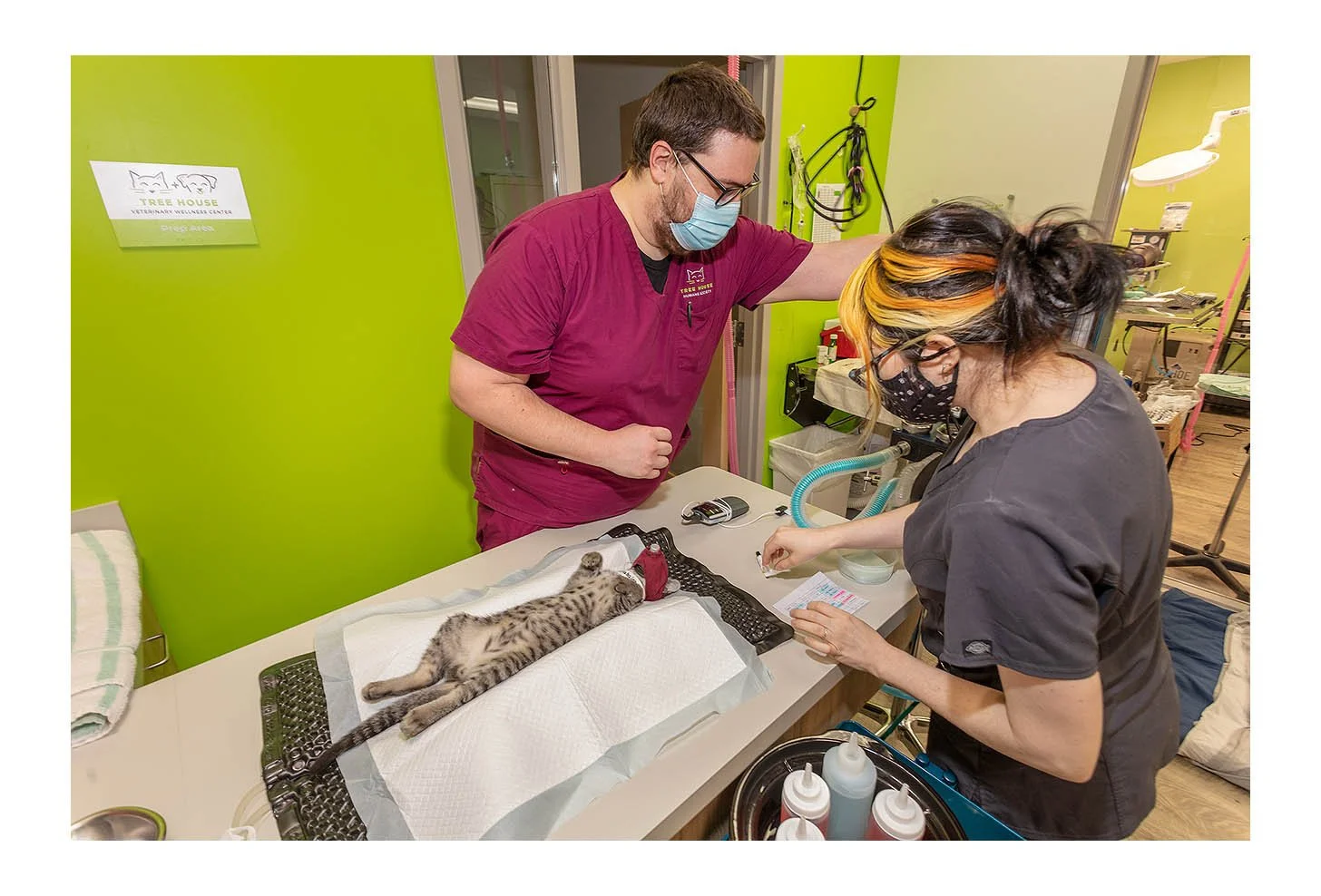 Veterinary Wellness Center