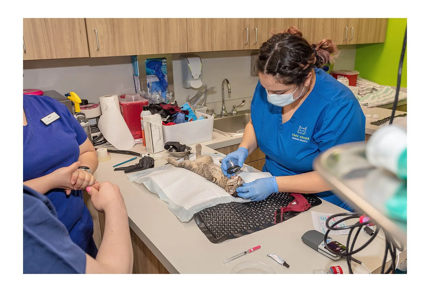 Veterinary Wellness Center