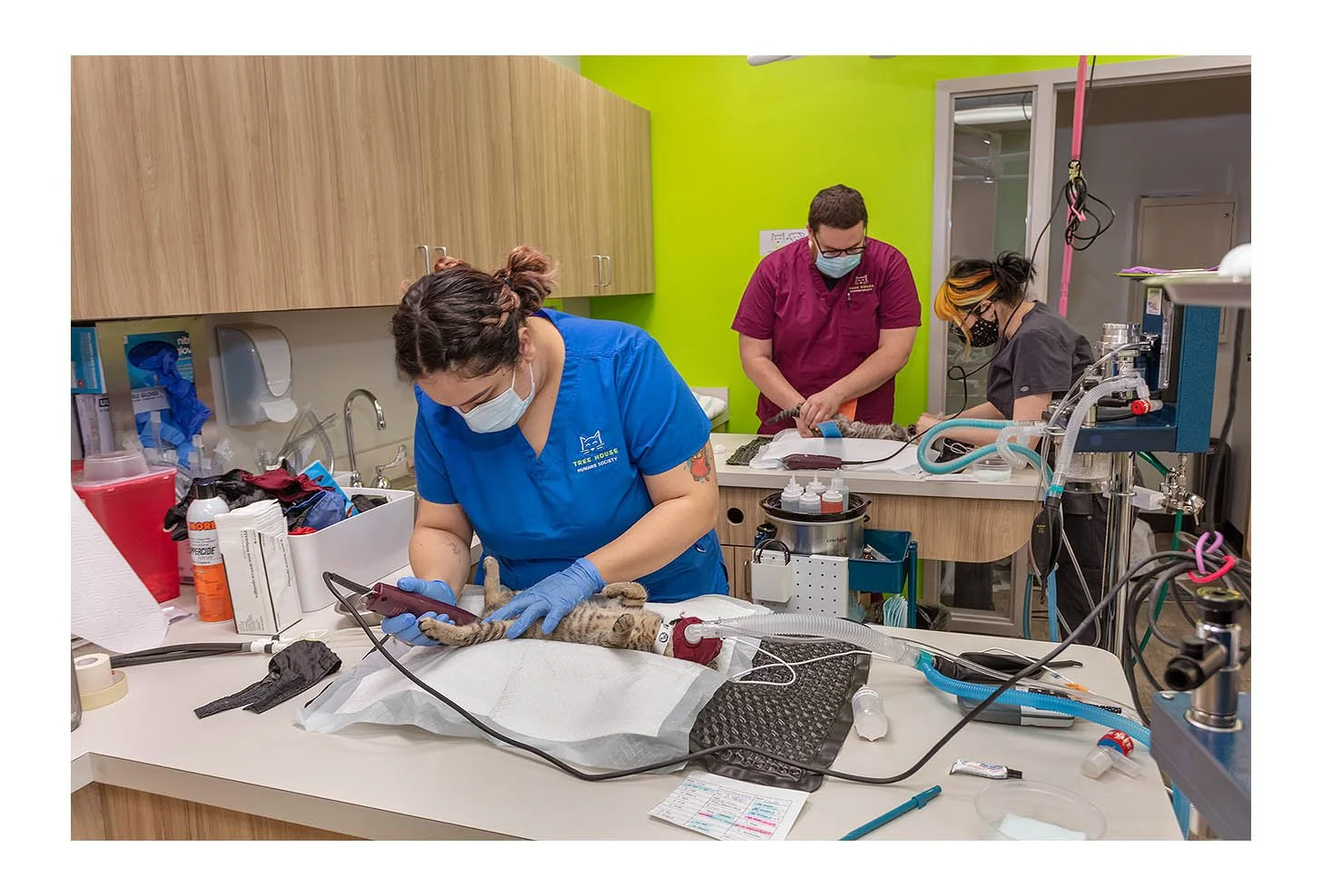 Veterinary Wellness Center
