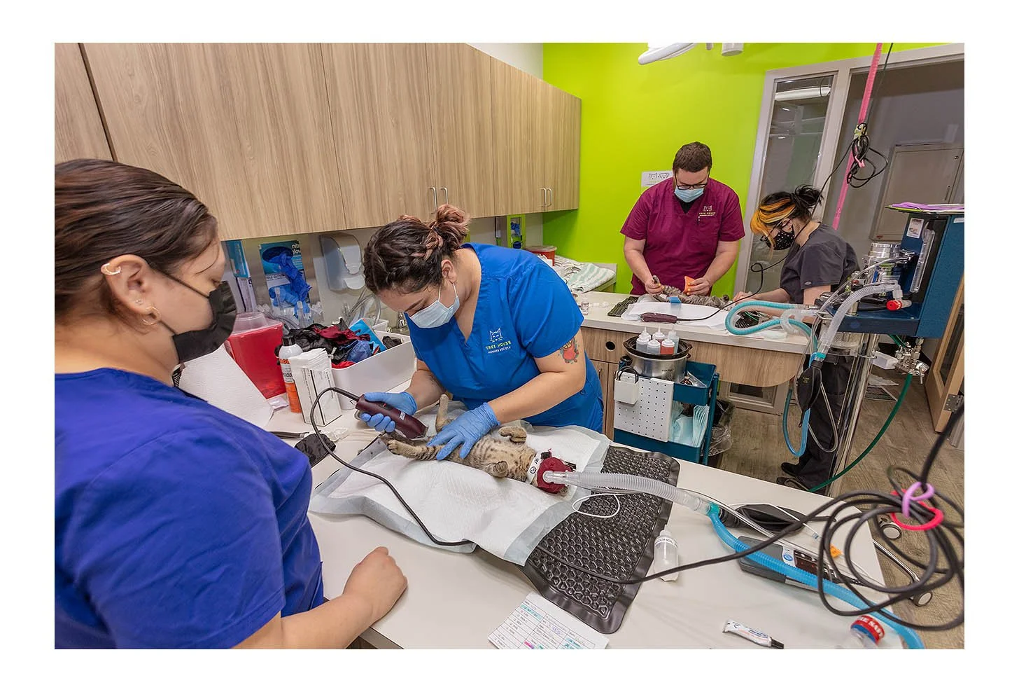 Veterinary Wellness Center