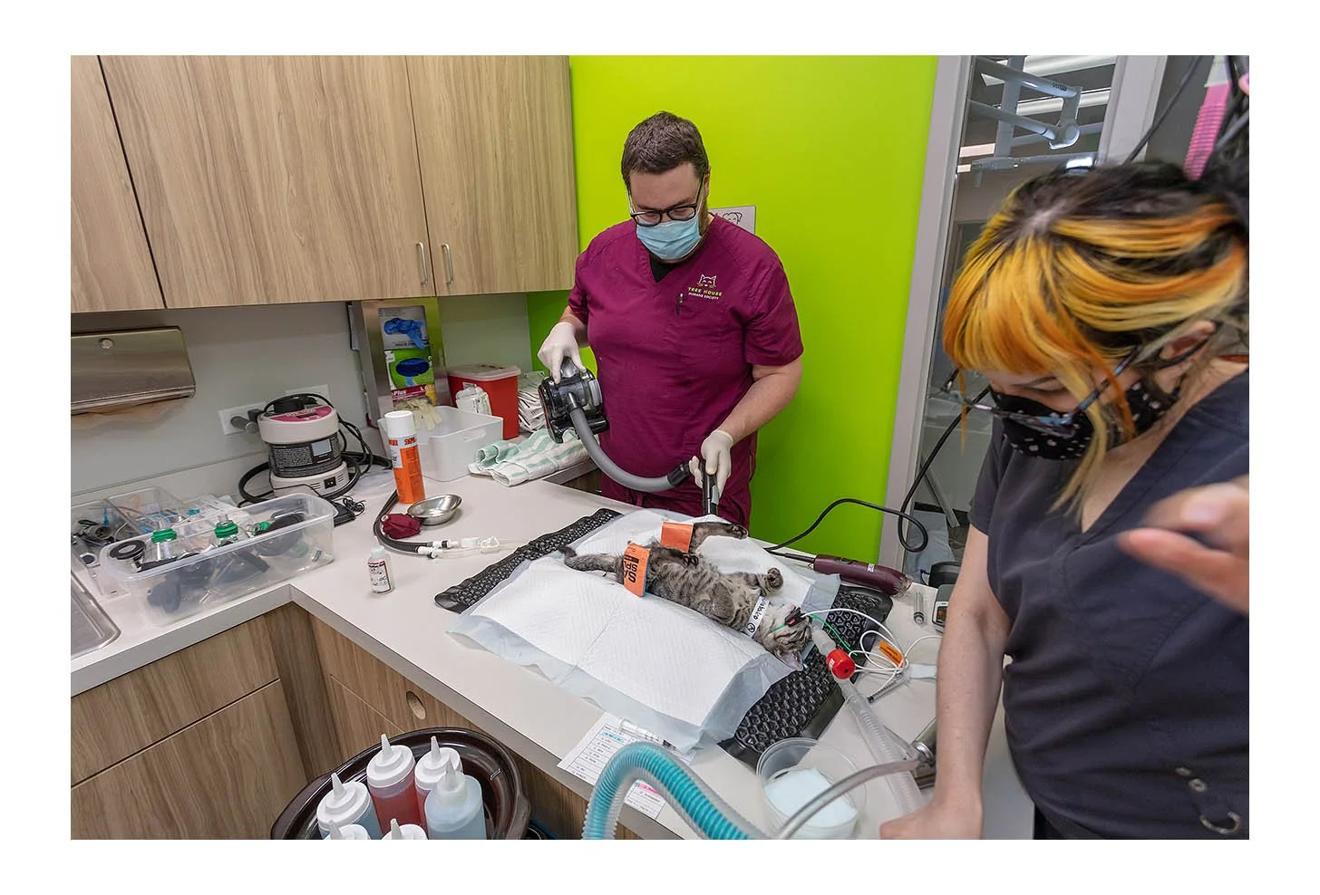 Veterinary Wellness Center