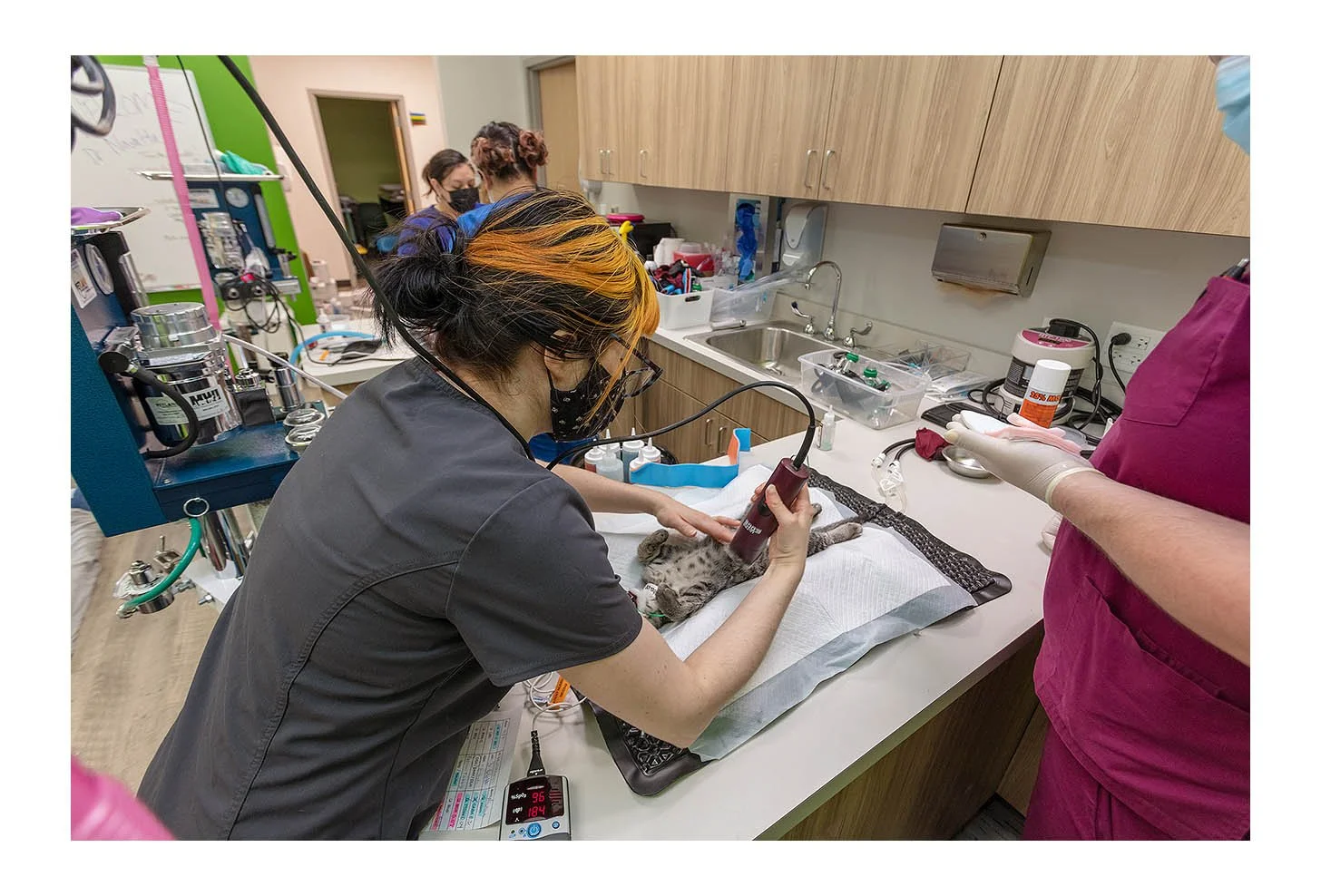 Veterinary Wellness Center
