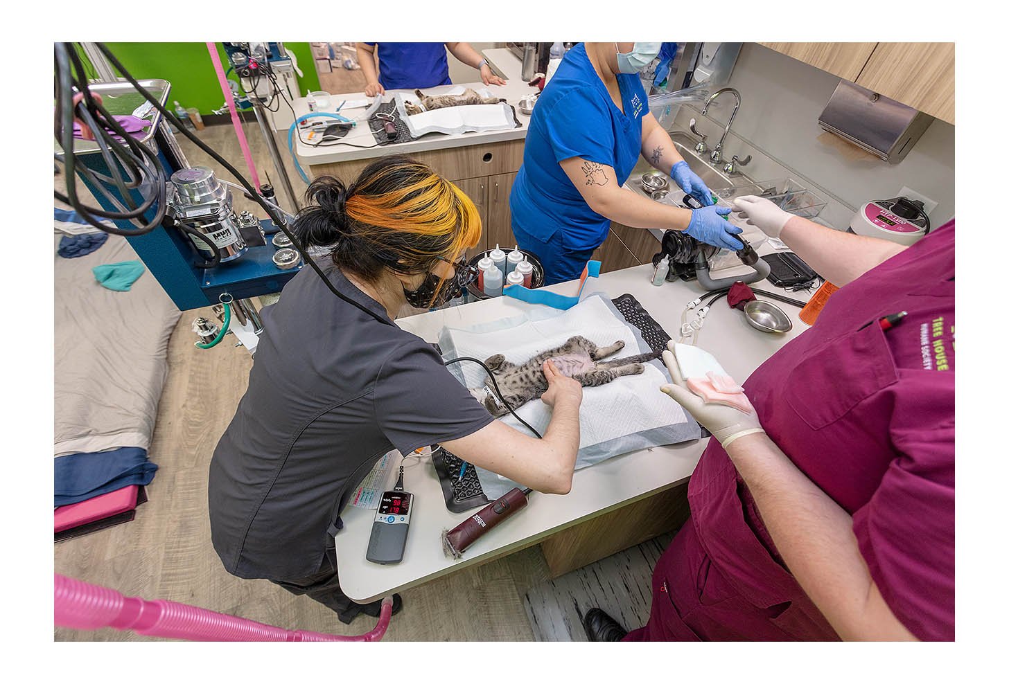 Veterinary Wellness Center
