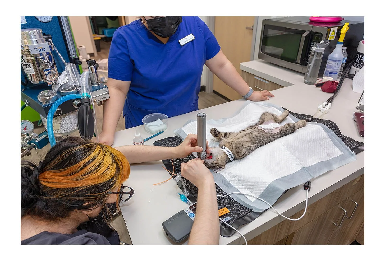 Veterinary Wellness Center