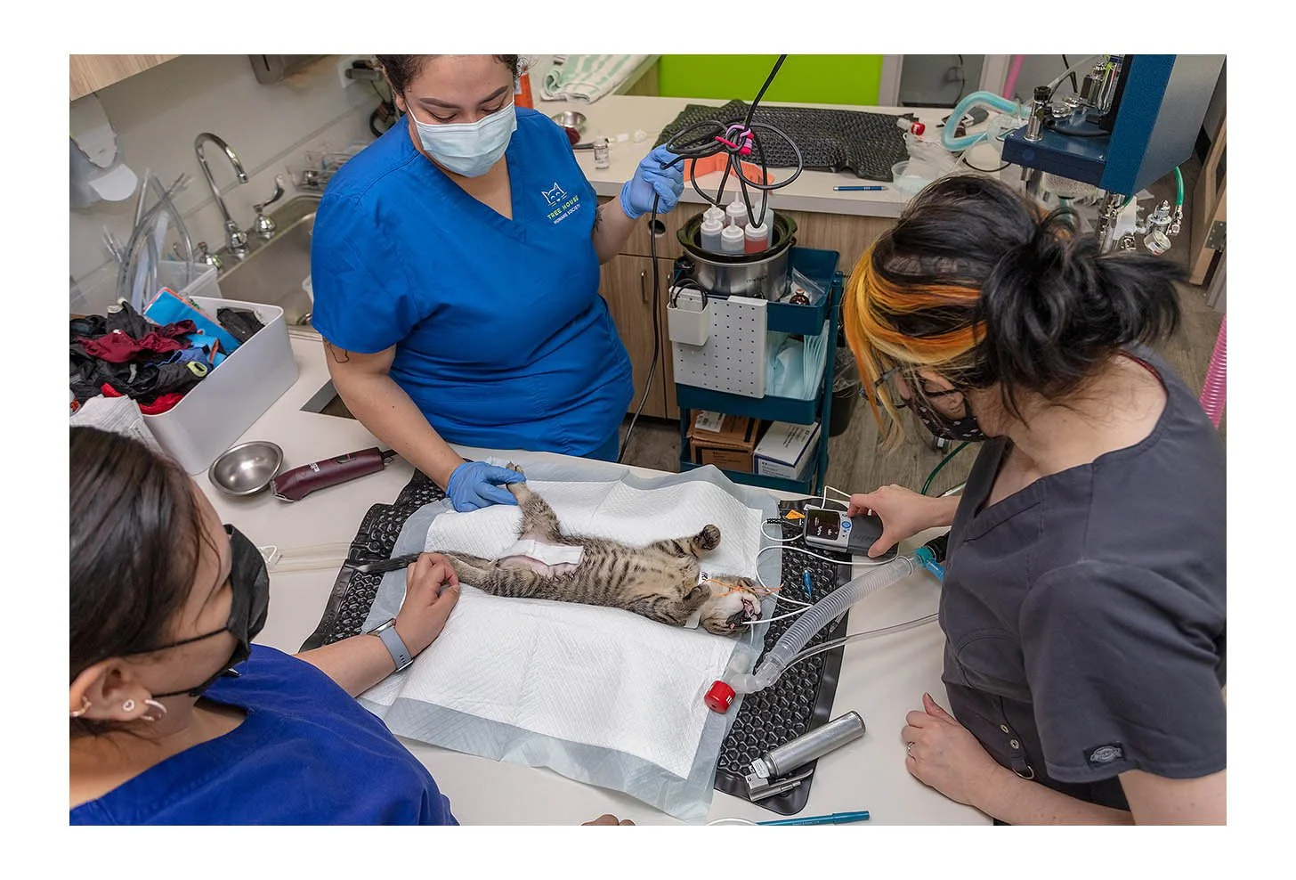 Veterinary Wellness Center