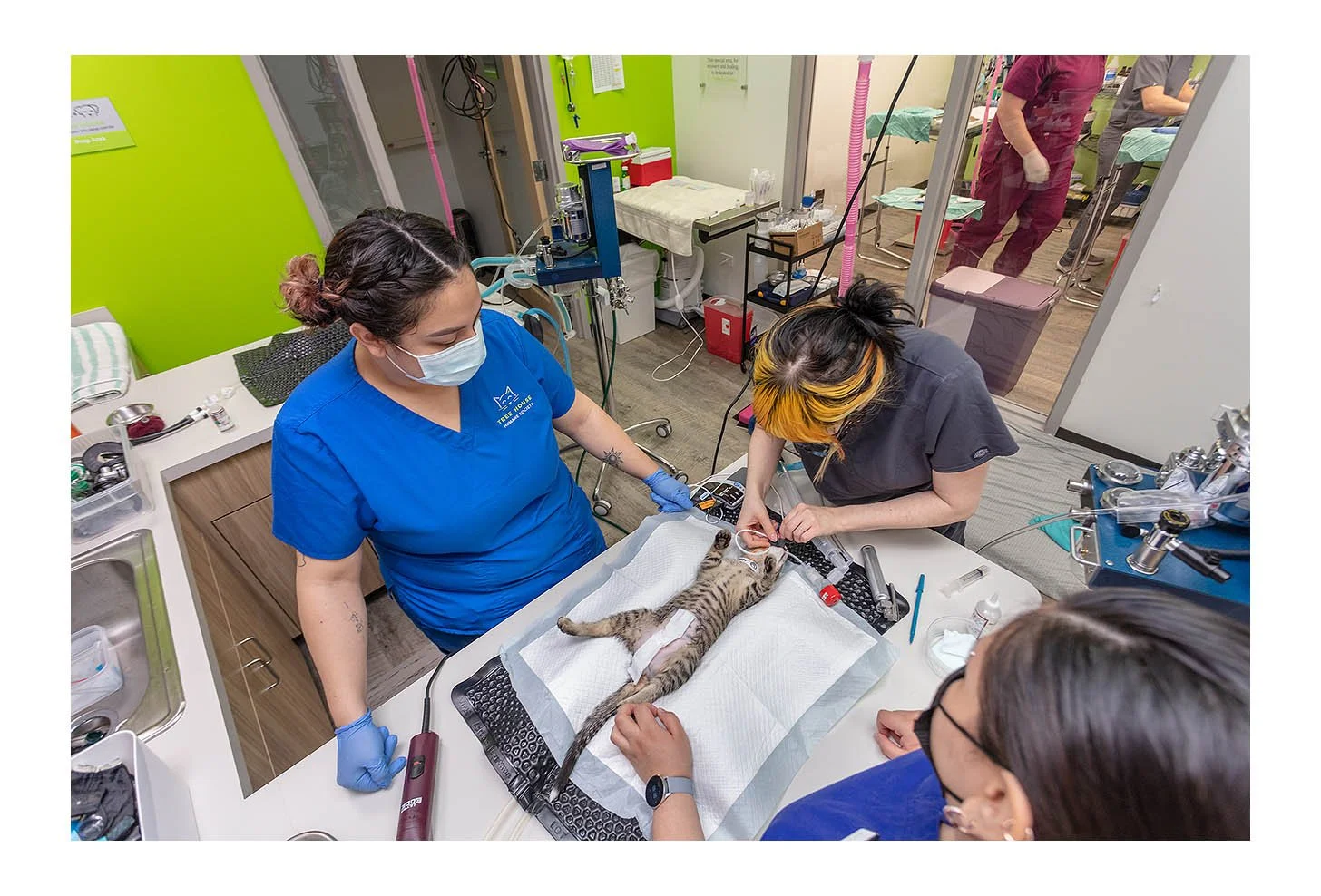 Veterinary Wellness Center