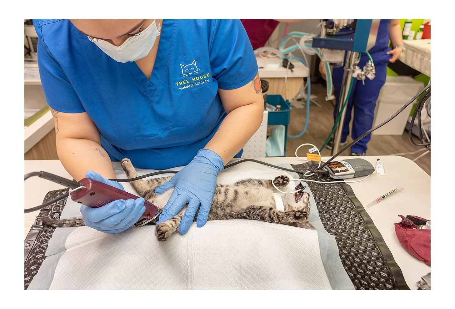 Veterinary Wellness Center