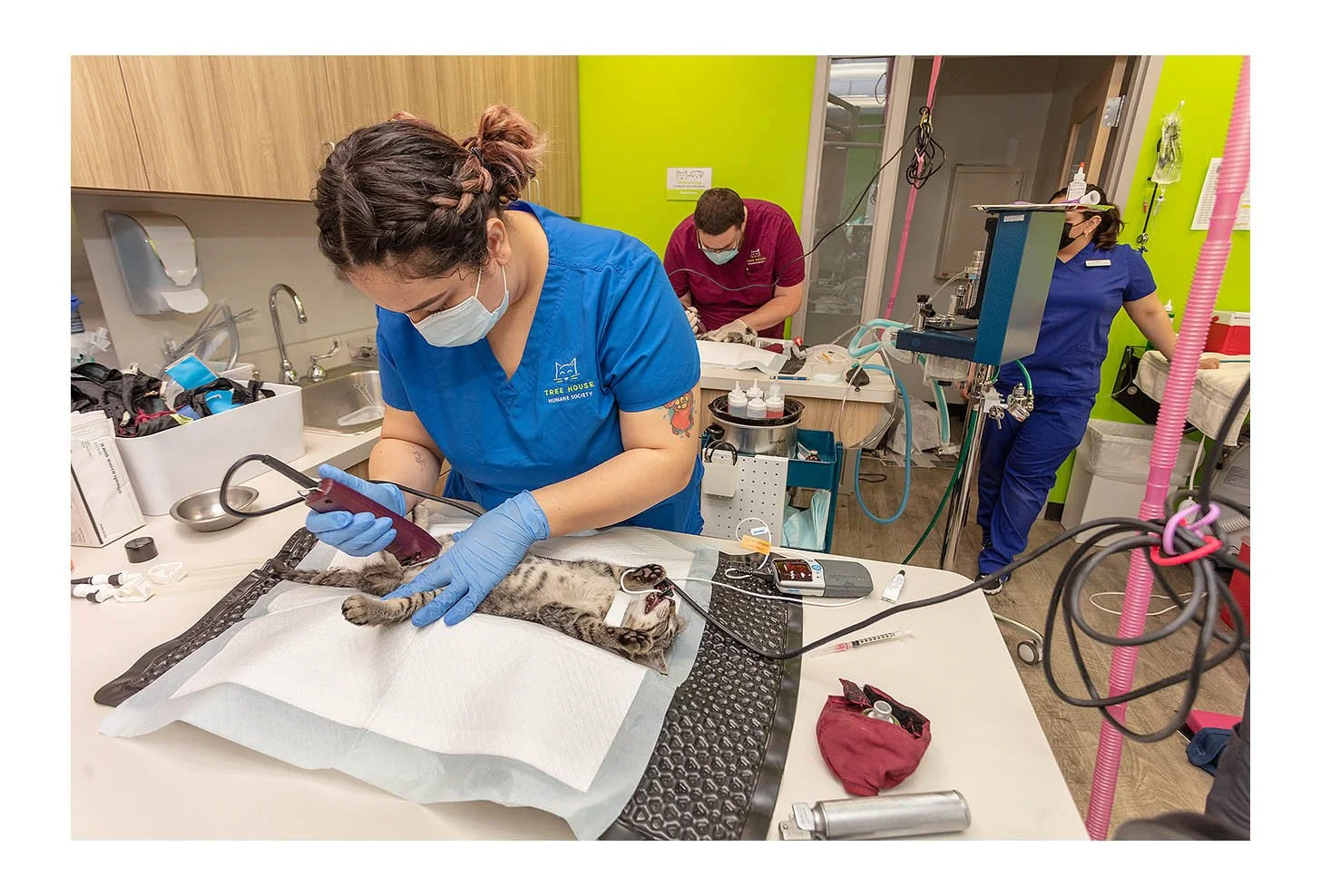 Veterinary Wellness Center
