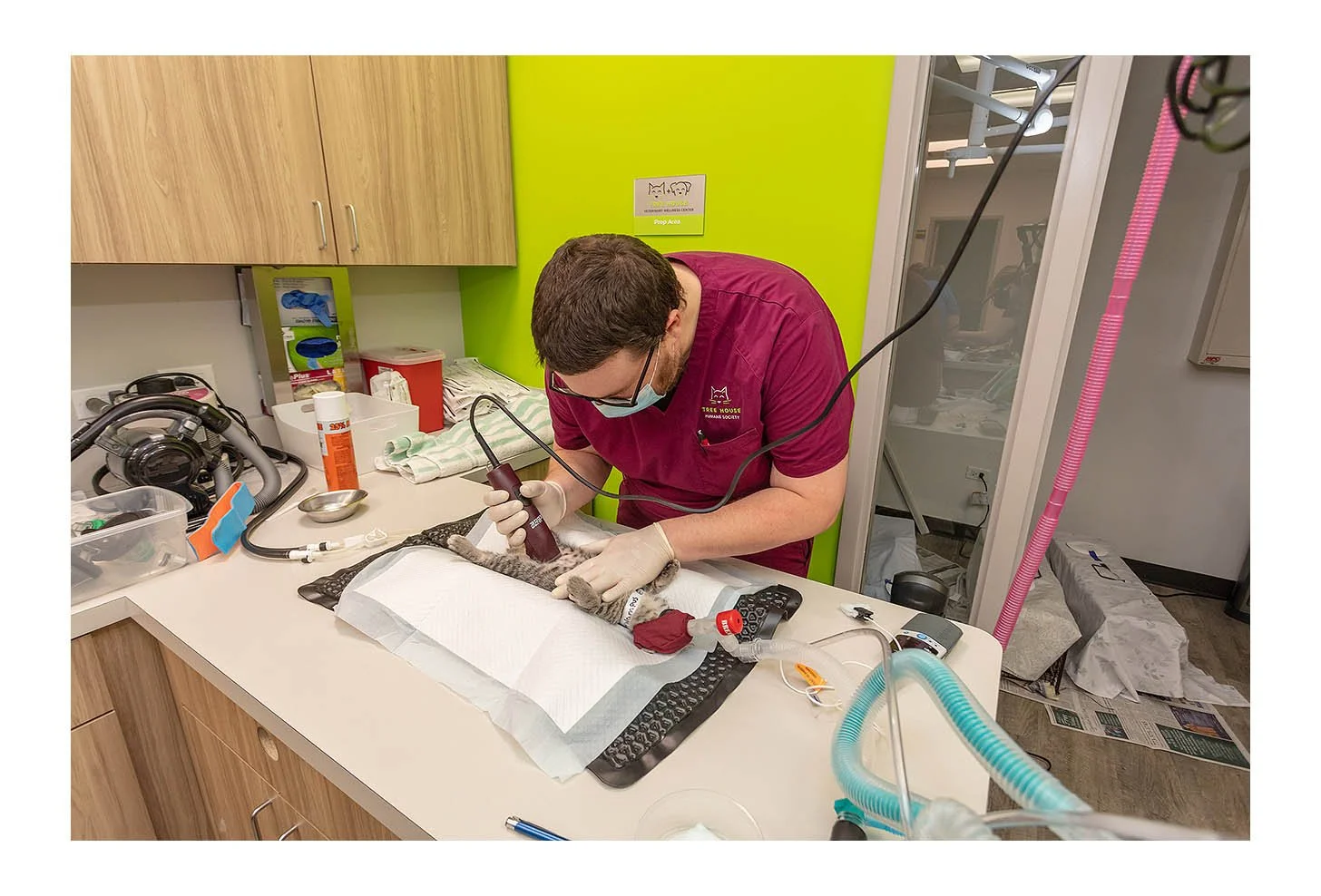 Veterinary Wellness Center