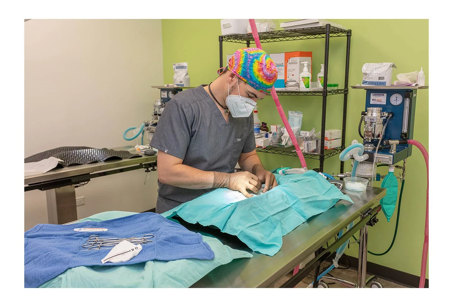Veterinary Wellness Center