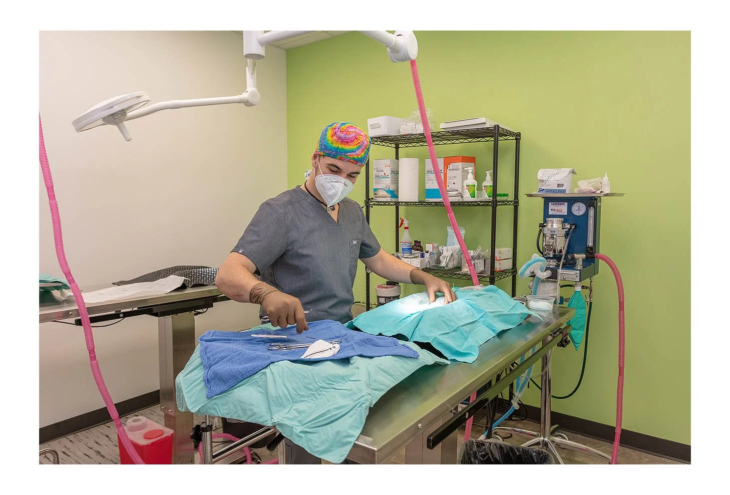 Veterinary Wellness Center