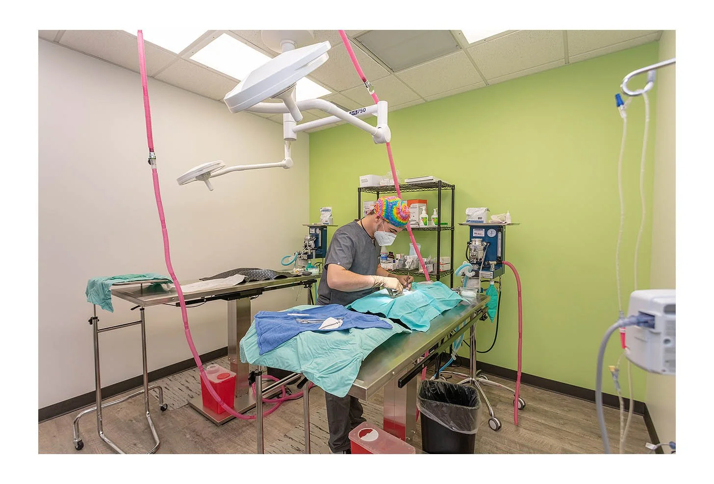 Veterinary Wellness Center