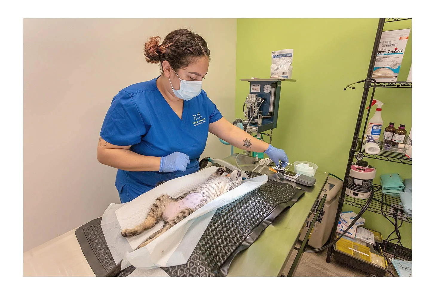 Veterinary Wellness Center