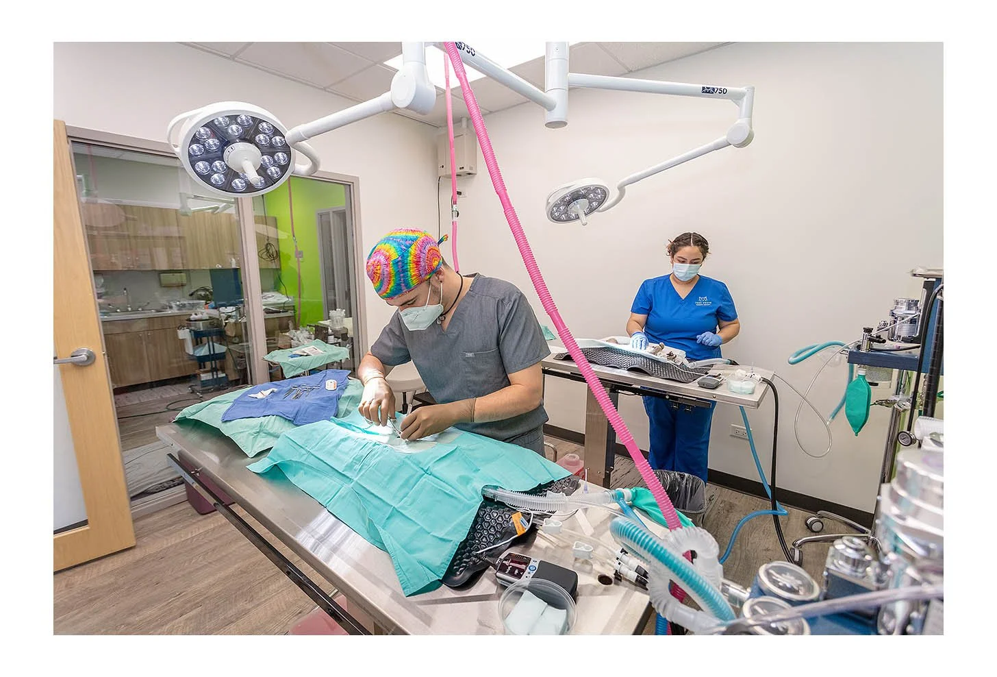 Veterinary Wellness Center