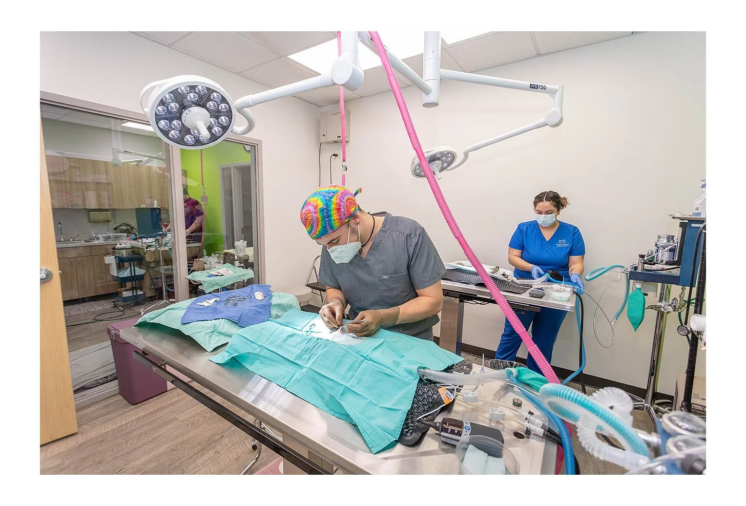 Veterinary Wellness Center