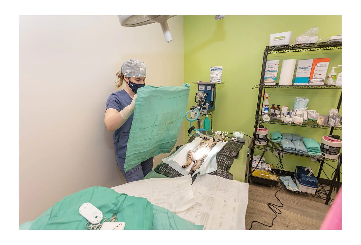 Veterinary Wellness Center