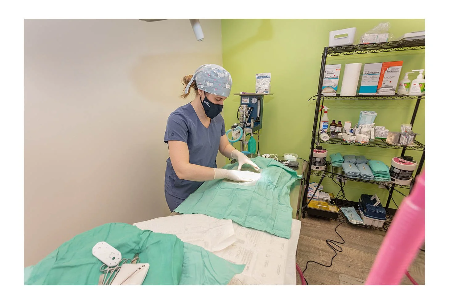 Veterinary Wellness Center