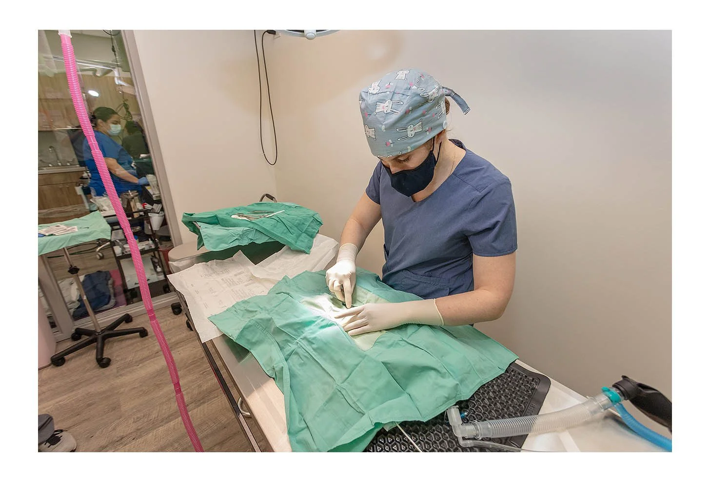 Veterinary Wellness Center