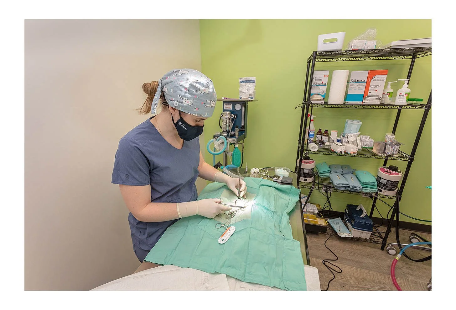 Veterinary Wellness Center
