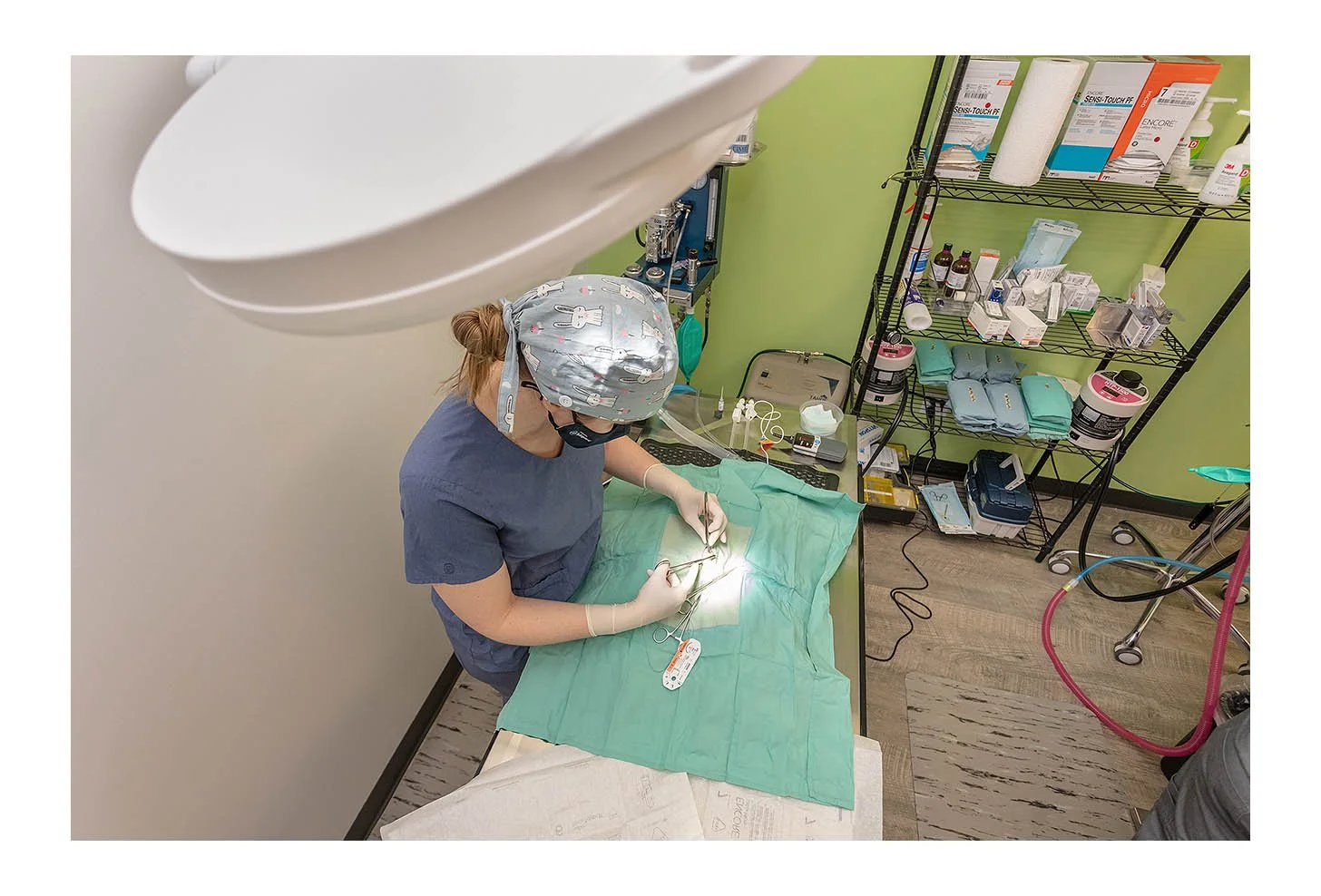 Veterinary Wellness Center