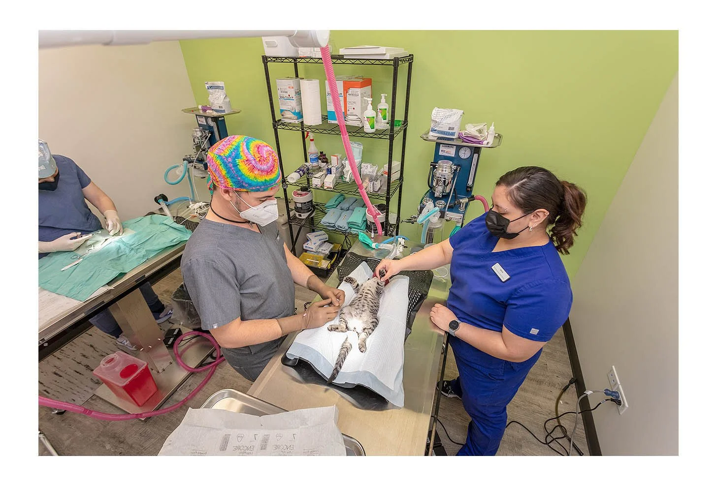 Veterinary Wellness Center