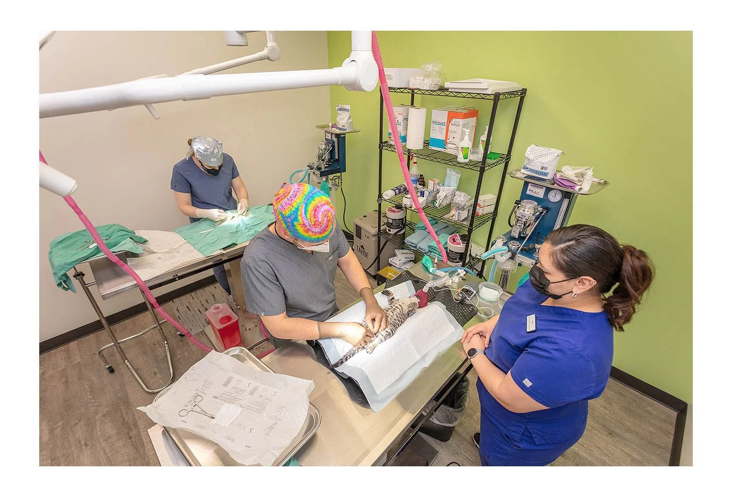 Veterinary Wellness Center