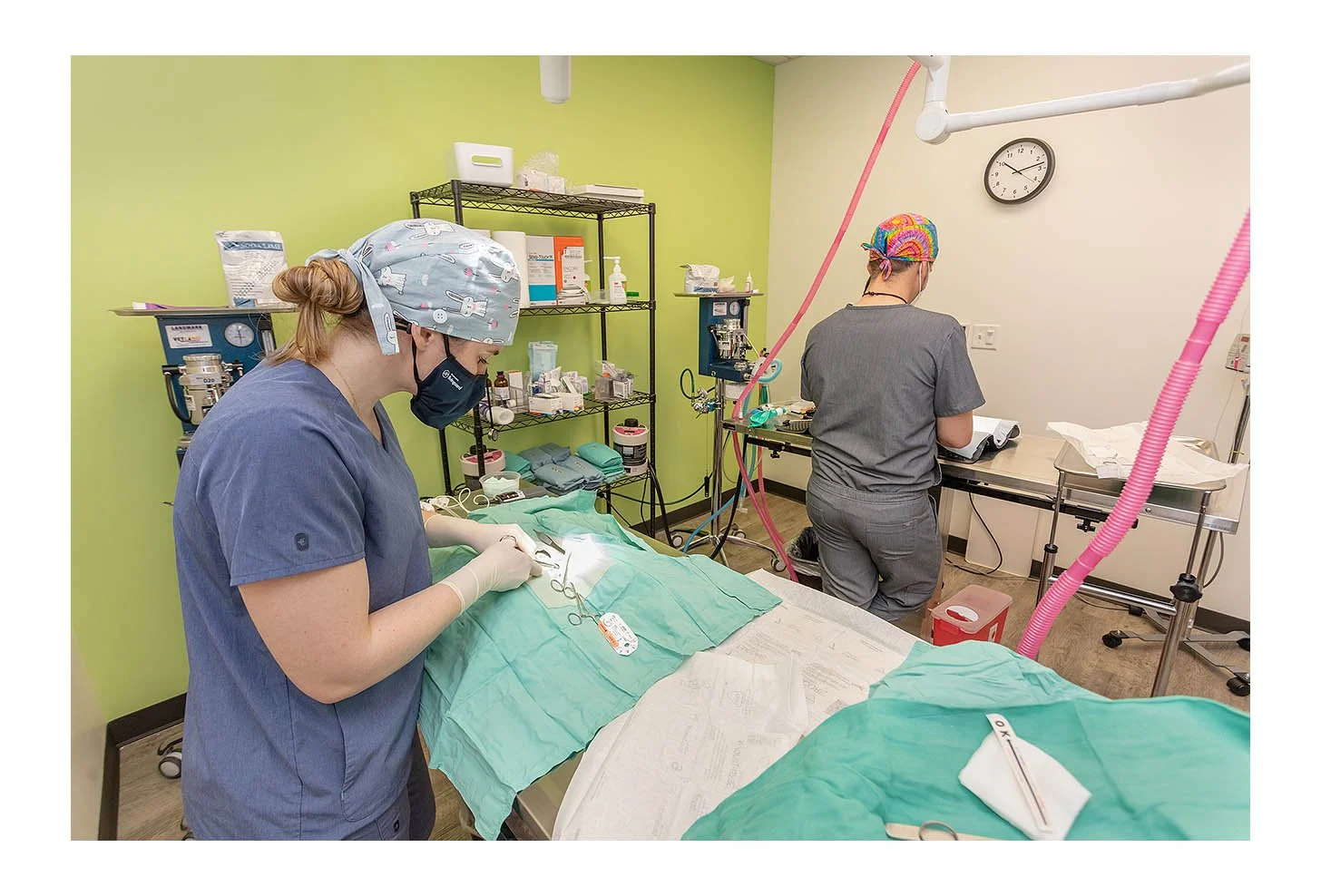 Veterinary Wellness Center