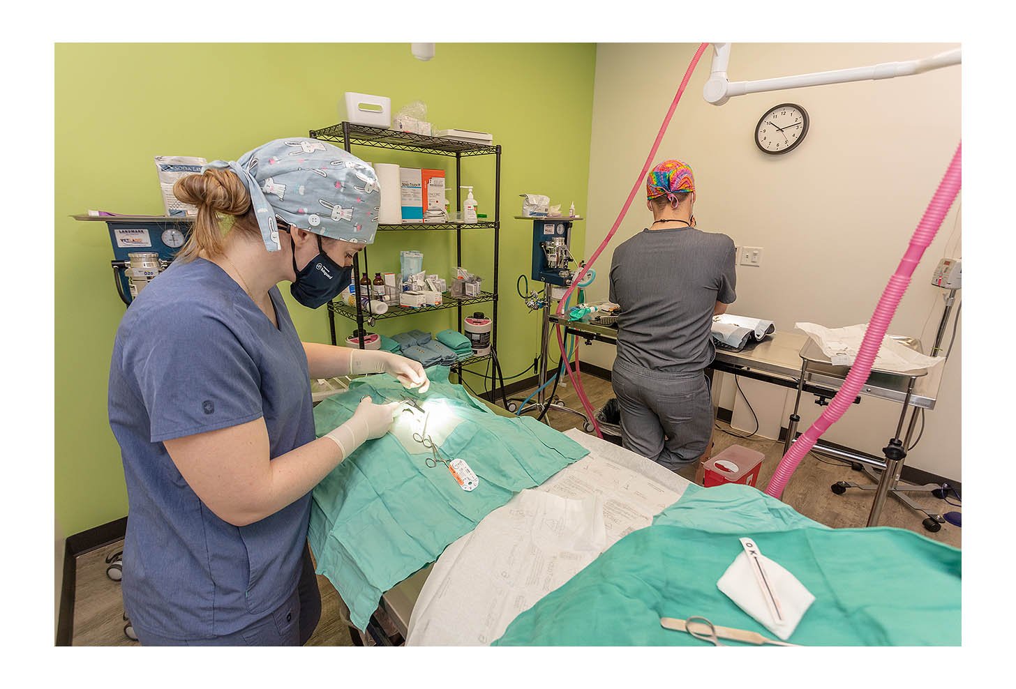 Veterinary Wellness Center
