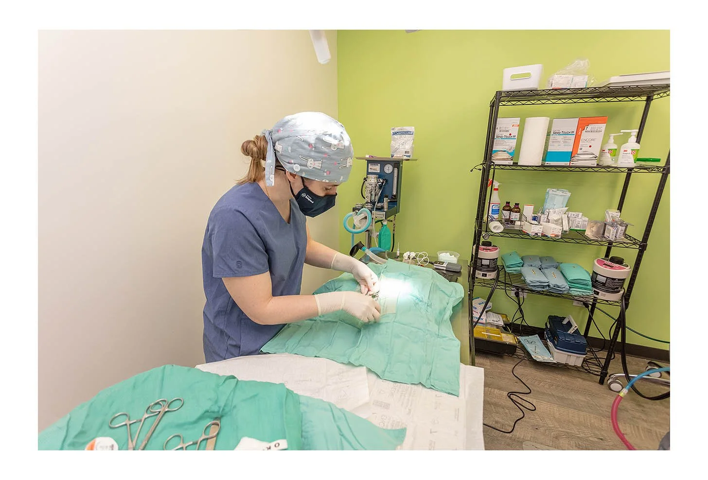 Veterinary Wellness Center