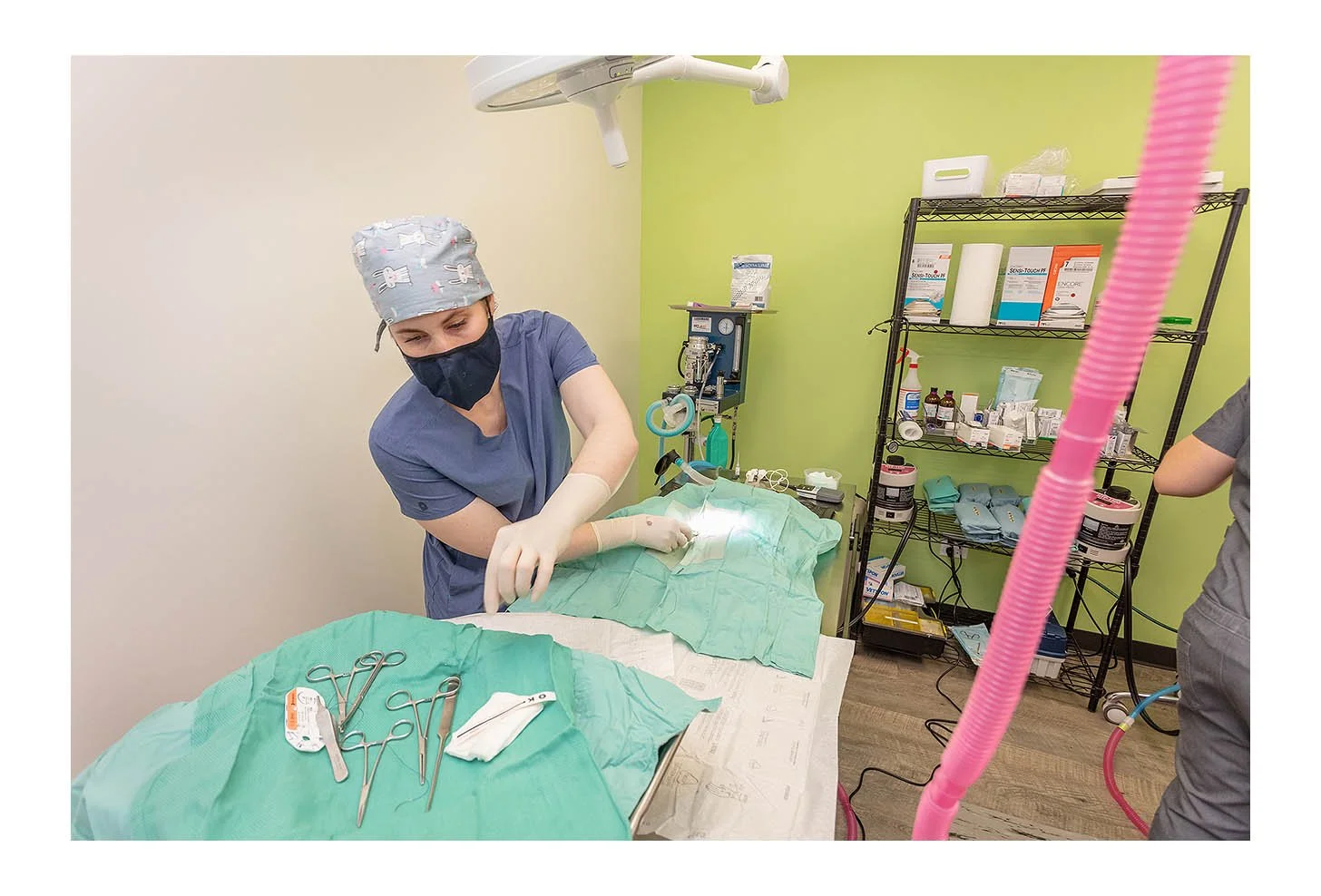 Veterinary Wellness Center